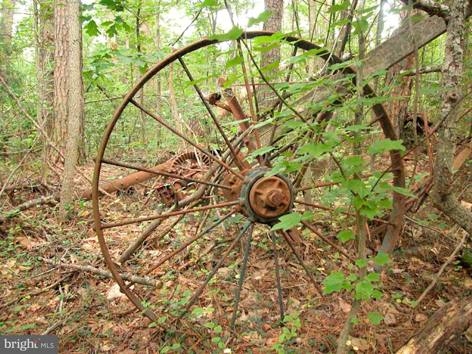 NONE AVAILABLE - Farm