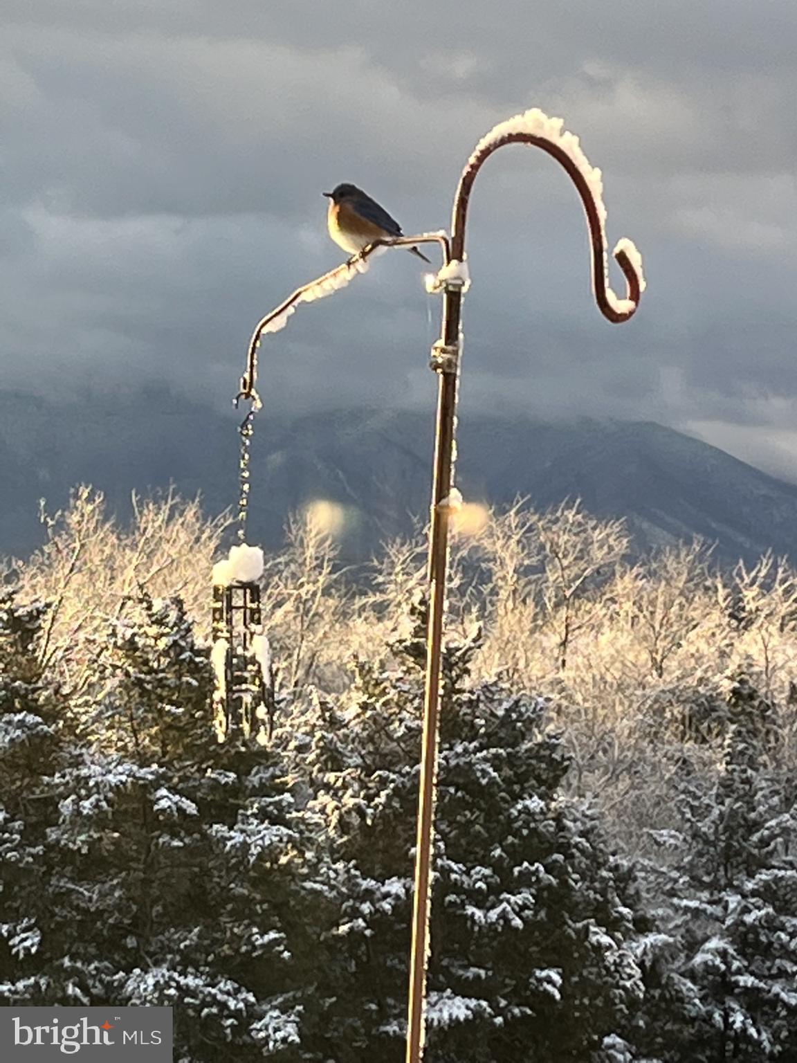 HOPE MILLS ACRES - Residential