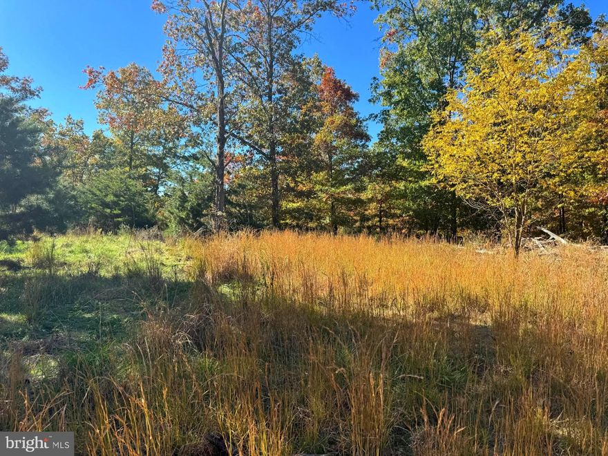 A Second chance at this beautiful property! Discover the ultimate mountain getaway with 32.10 acres of unrestricted land in the scenic mountains of West Virginia! This stunning piece of property is your blank canvas for creating the mountain retreat you've always dreamed of. Whether you're envisioning a secluded cabin in the woods, a peaceful homestead, or a private hunting lodge, this land offers endless possibilities. The land is a haven for outdoor enthusiasts, offering a prime location for hiking, camping, and stargazing. Wildlife thrives here, including deer, bear, and turkey, giving hunters and nature lovers alike the opportunity to enjoy the best of what the wild has to offer.  The land’s unrestricted designation means you have the freedom to build what you want, when you want, without the limitations of restrictive covenants. With convenient access to nearby small towns, yet far enough away to feel truly remote, this property combines the best of both worlds. The mountains are calling — this is your chance to own a piece of West Virginia's rugged beauty, where the only limit is your imagination. Schedule a visit today and take the first step toward making your dream a reality!