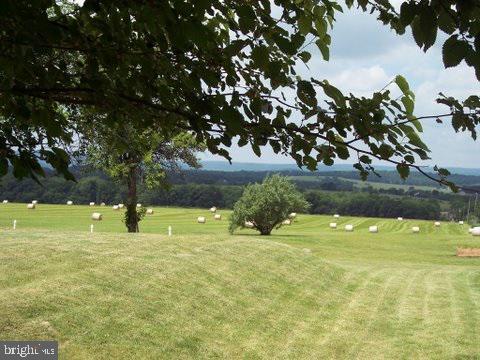 OLD BOYDS BEAR - Residential