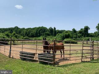 AVENEL - Residential