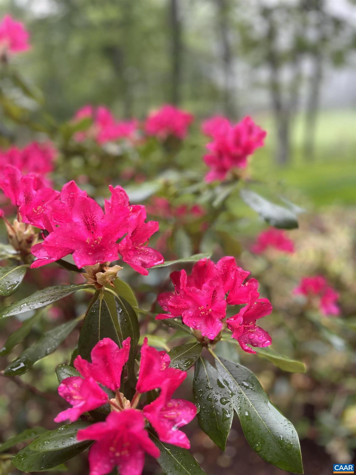 WINTERGREEN RESORT - Residential