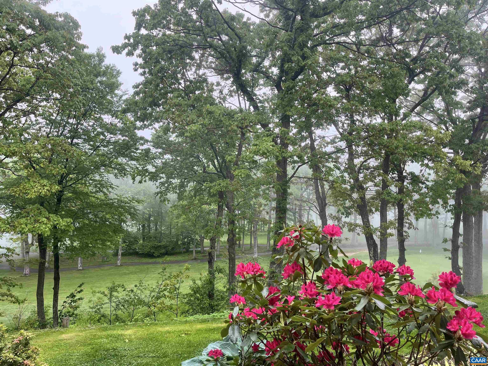 WINTERGREEN RESORT - Residential