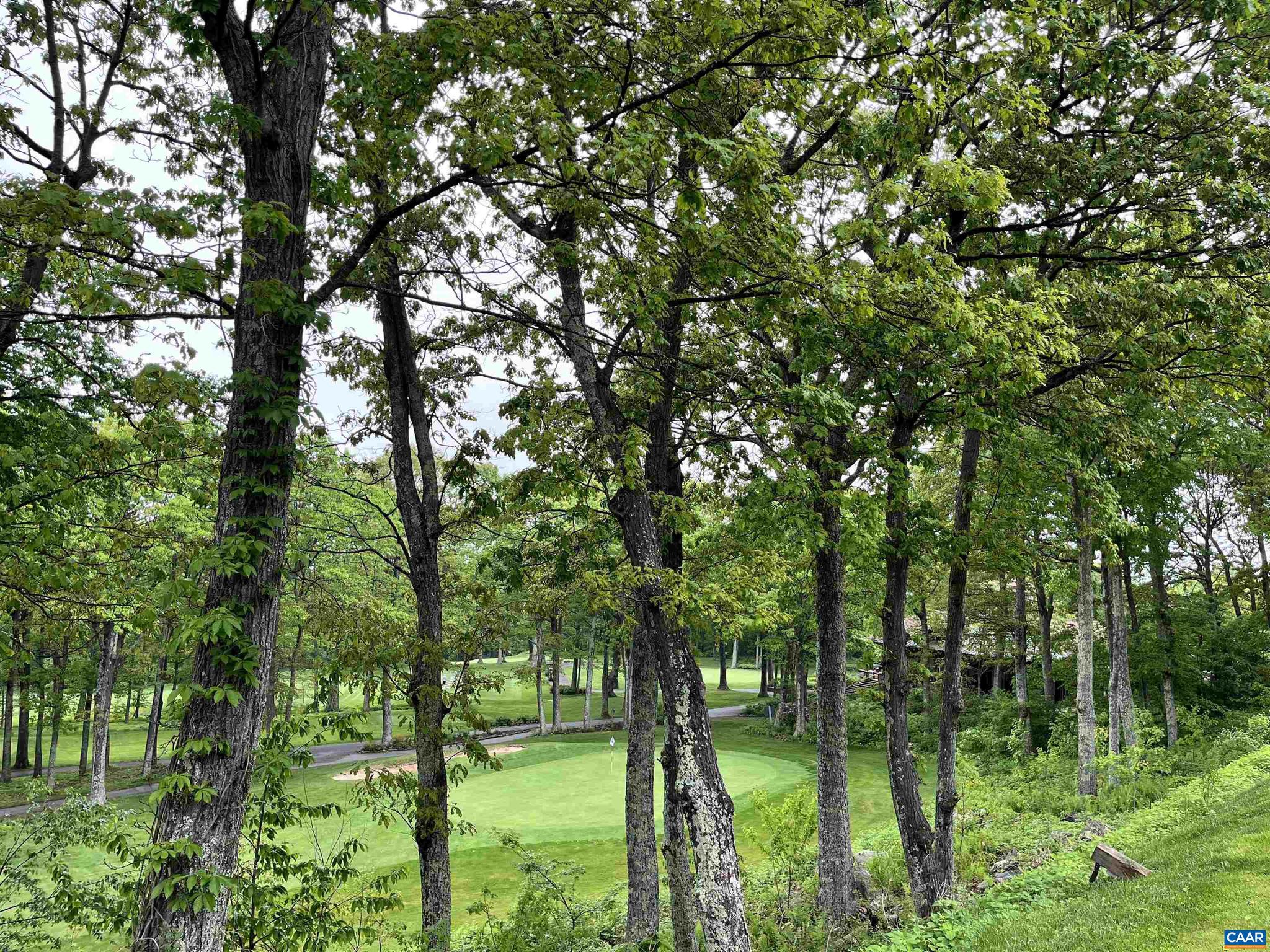 WINTERGREEN RESORT - Residential