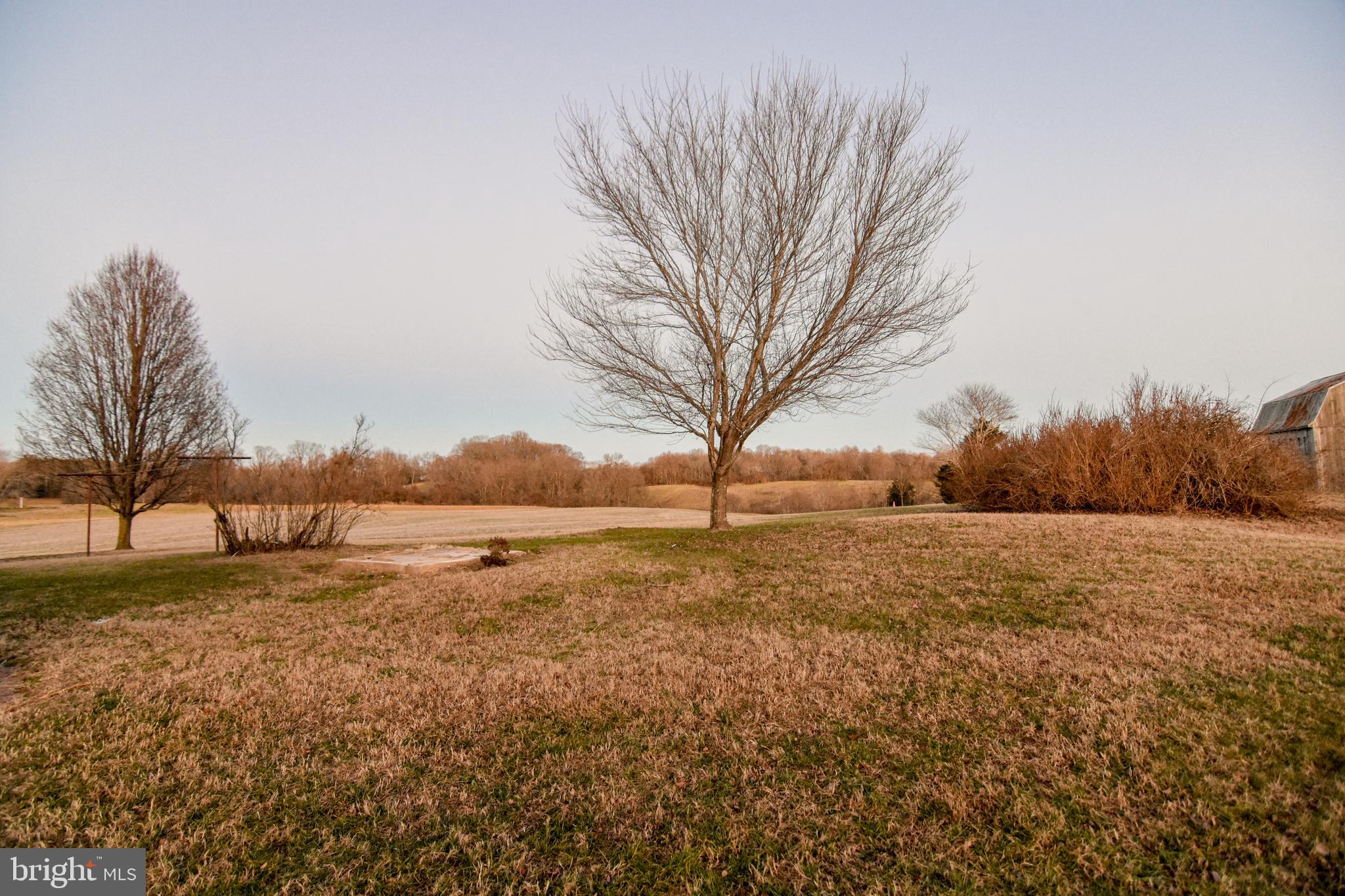 REGULARS - Residential Lease