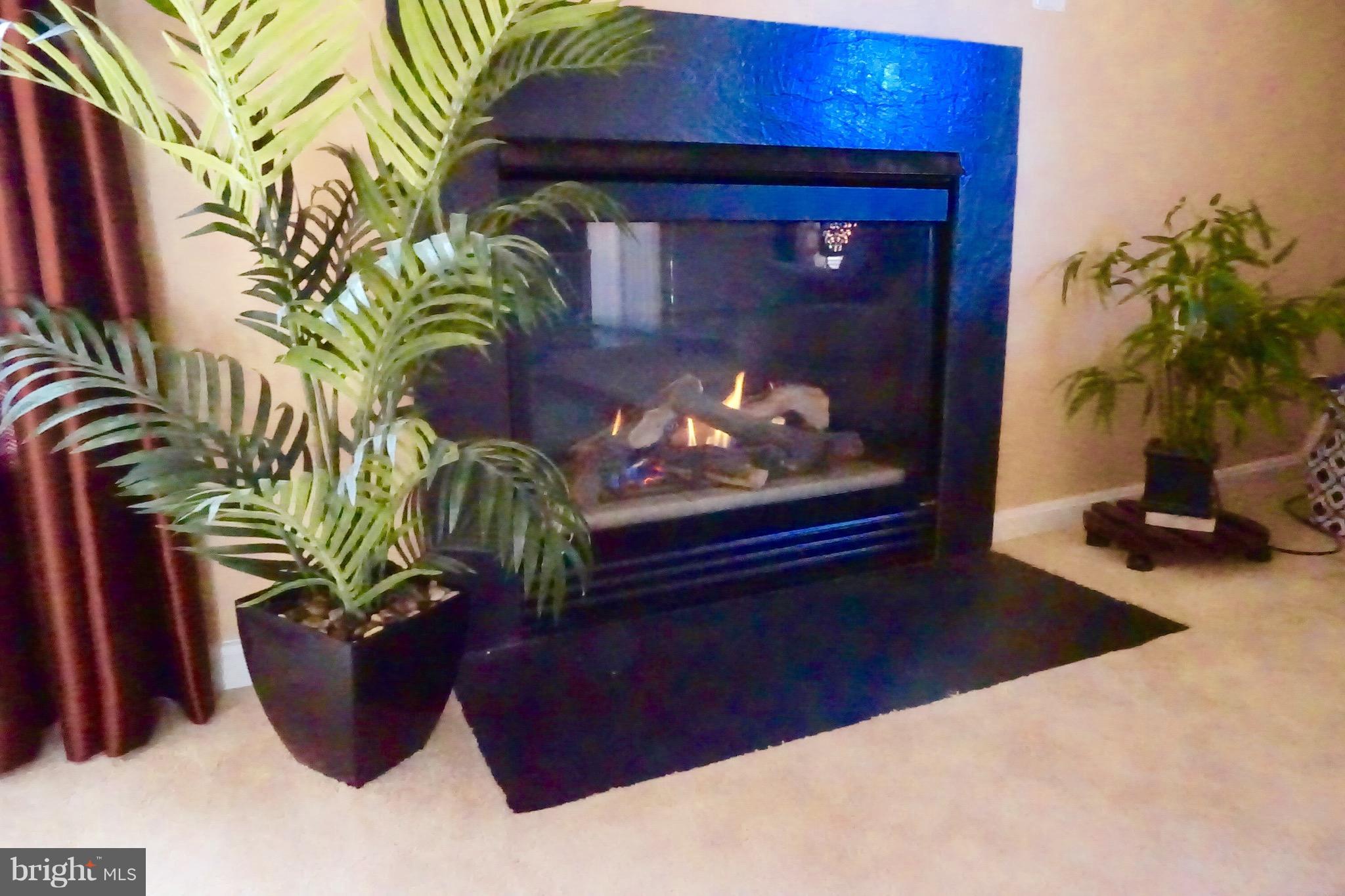 WAYSIDE VILLAGE - Residential