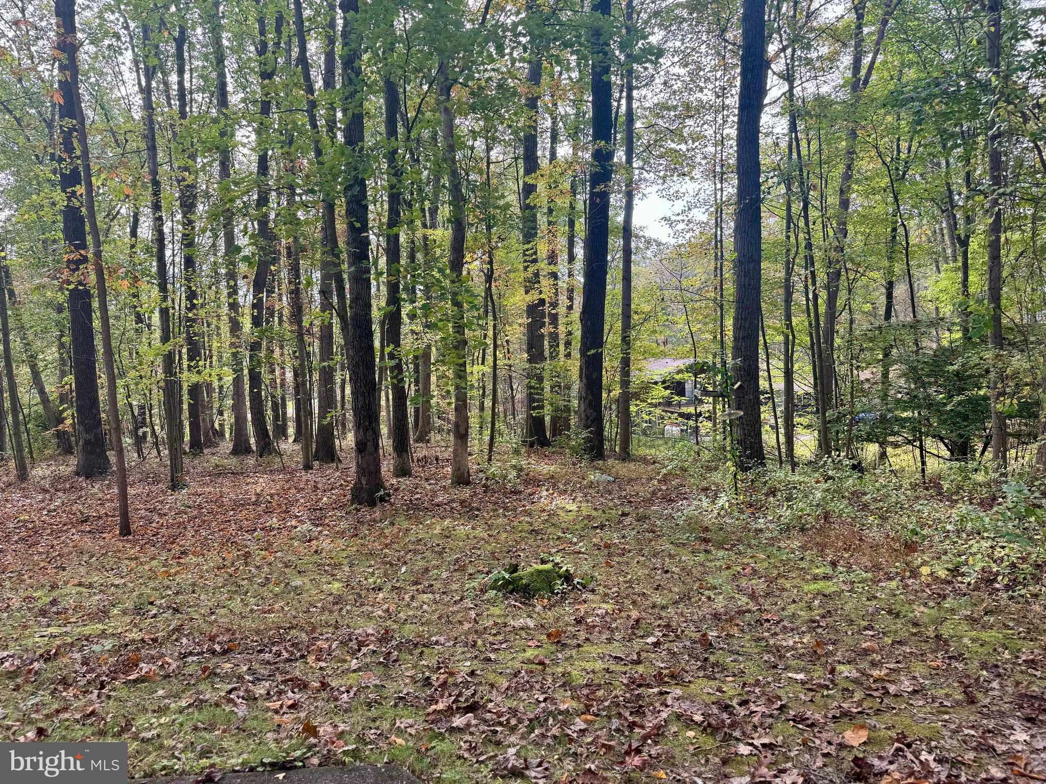 BRIARWOOD - Residential