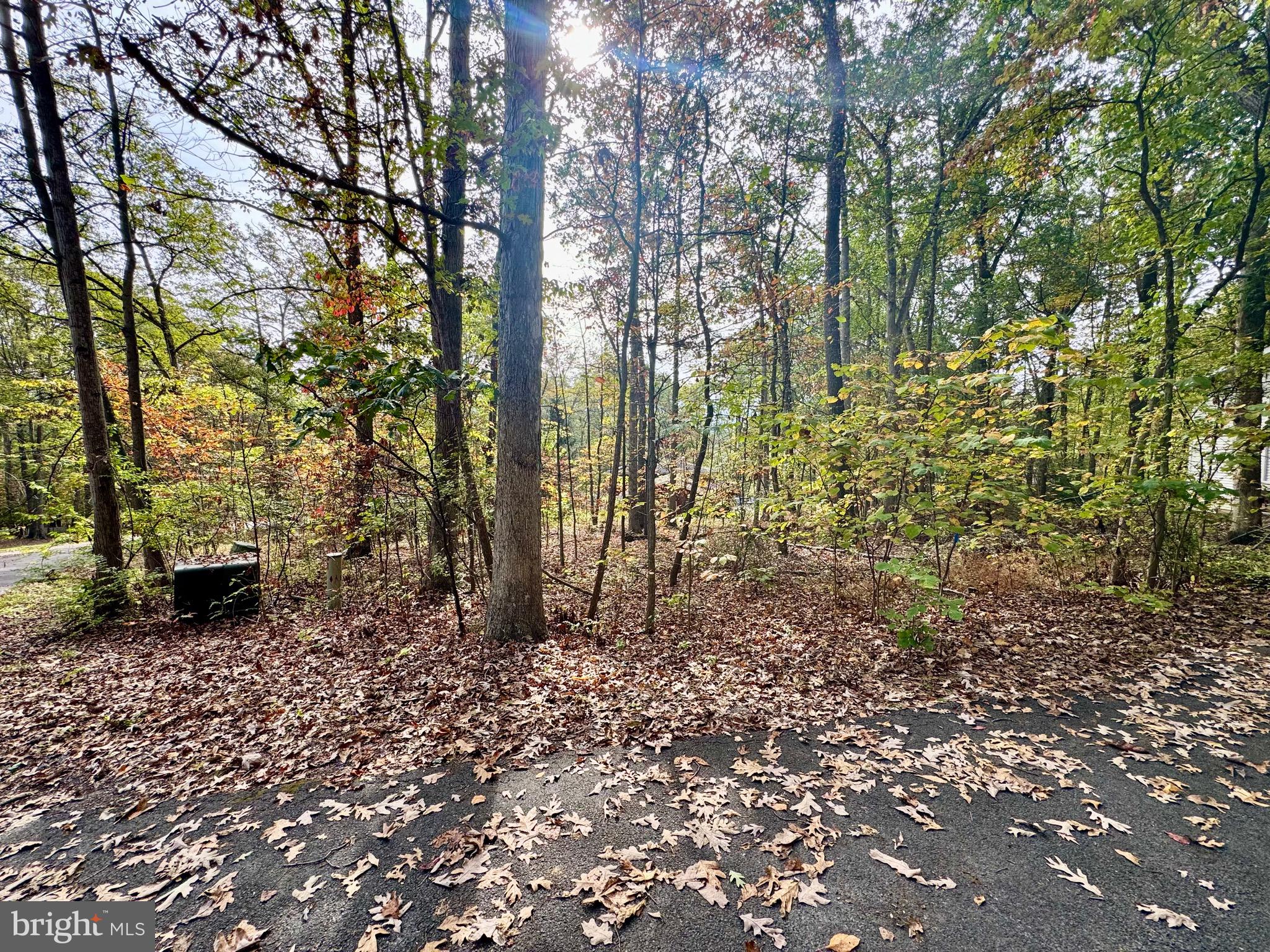 BRIARWOOD - Residential