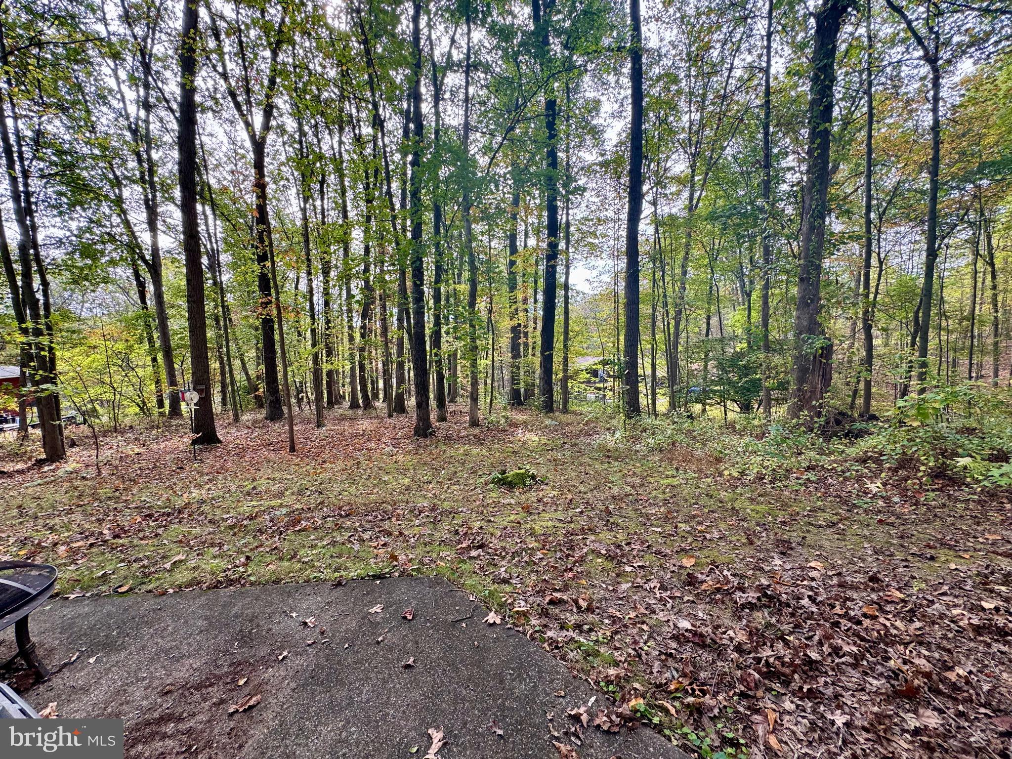 BRIARWOOD - Residential