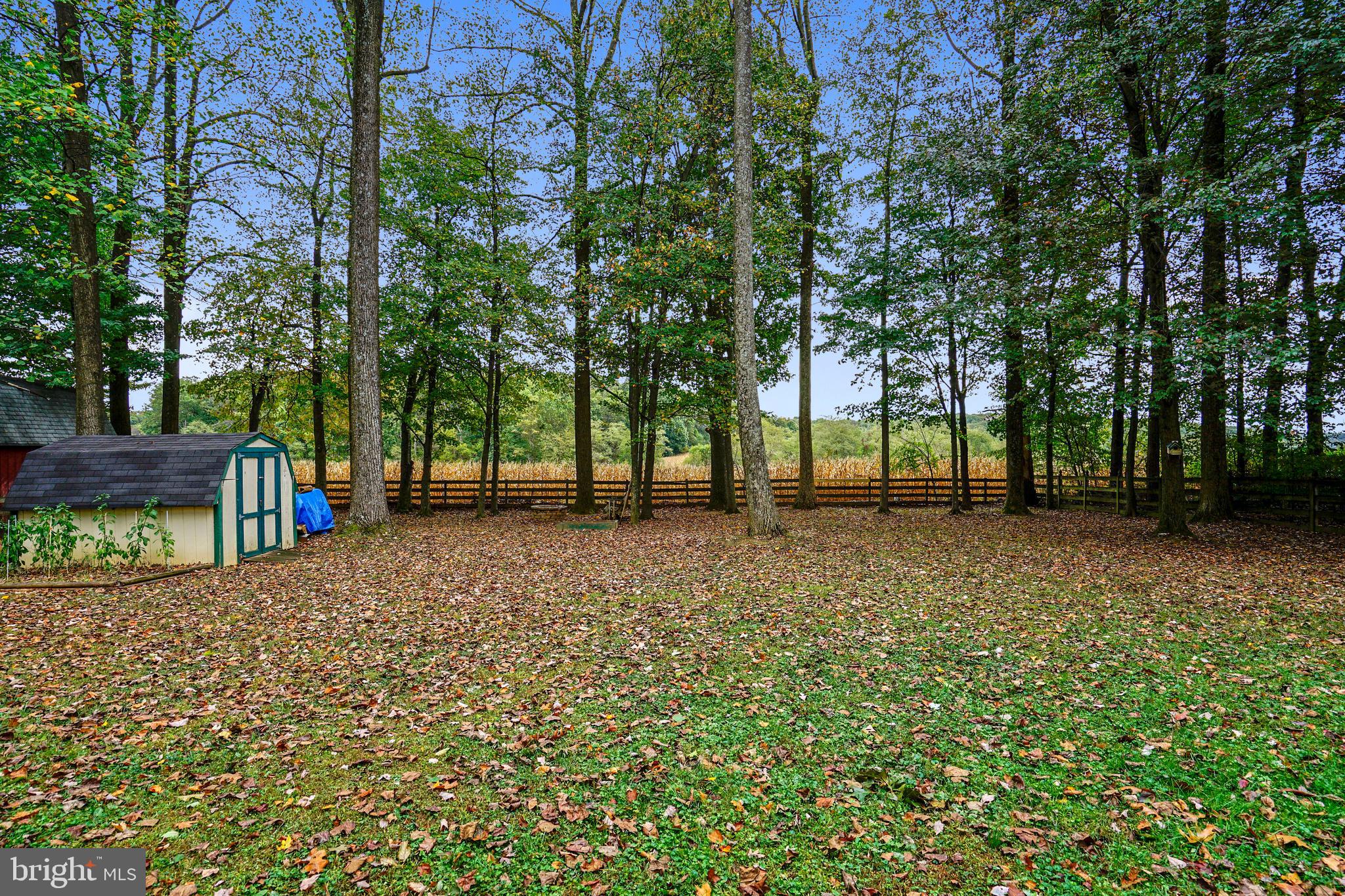 CARRIAGE HILLS - Residential