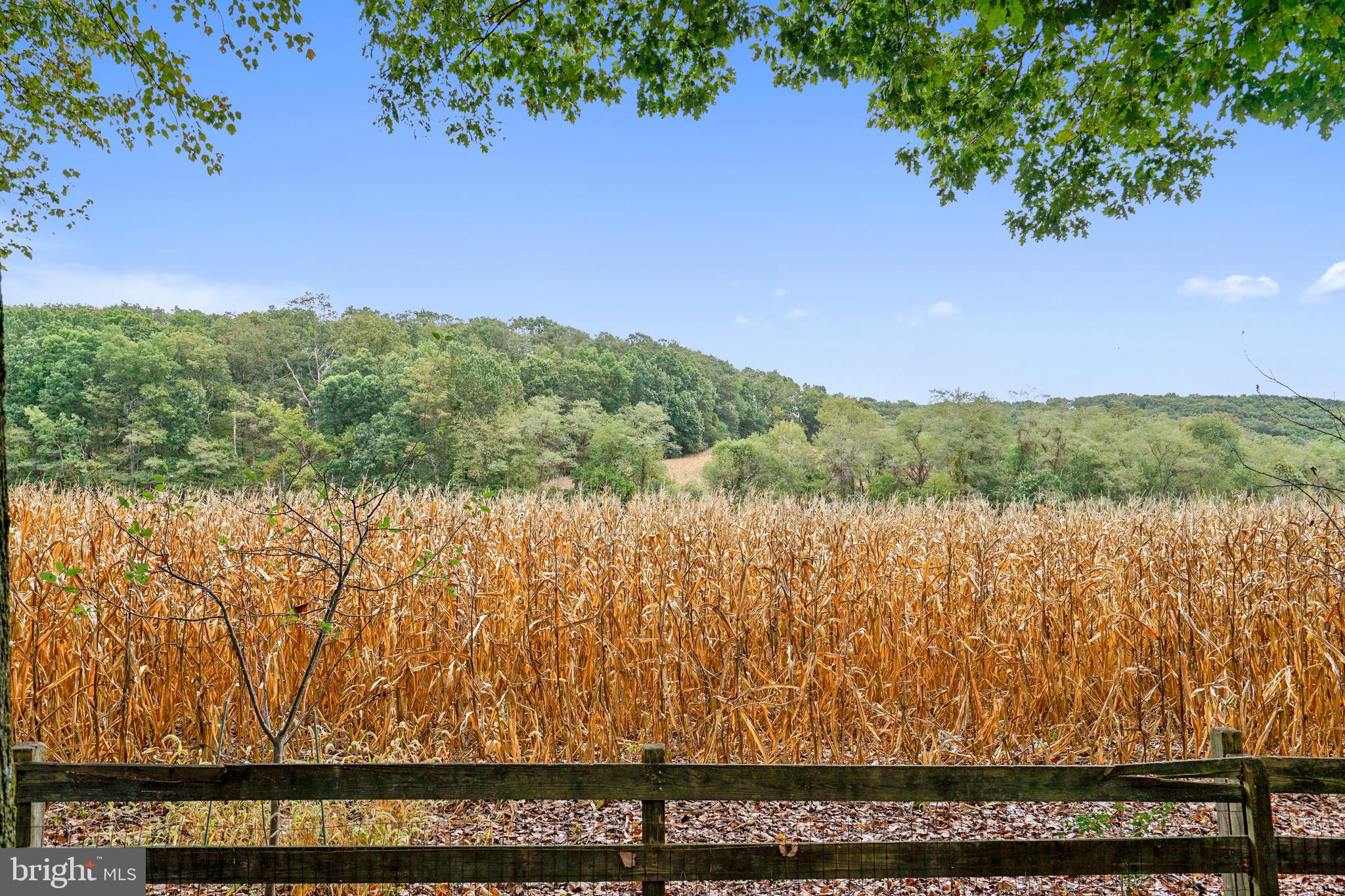 CARRIAGE HILLS - Residential
