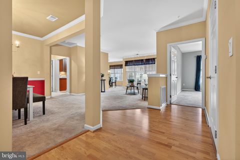 11165 CHAMBERS COURT M WOODSTOCK MD 21163