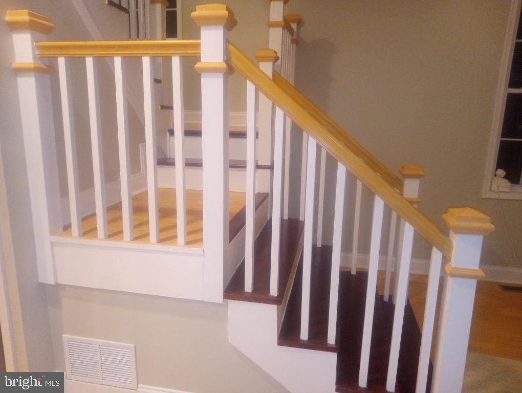 CENTRAL FOREST PARK - Residential