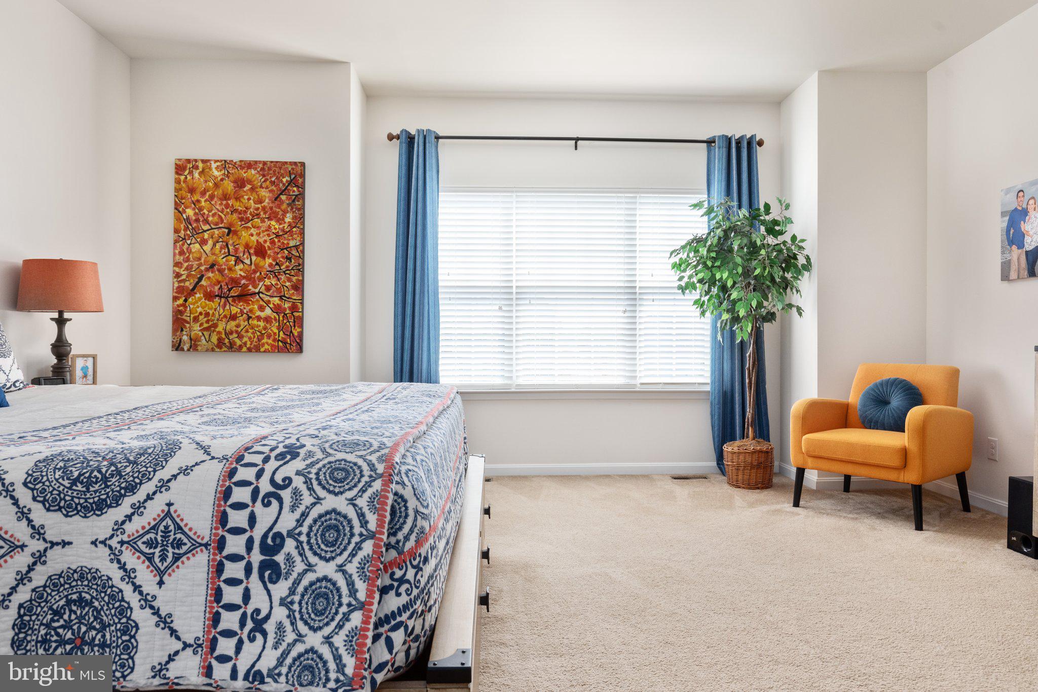 CANTER ESTATES - Residential