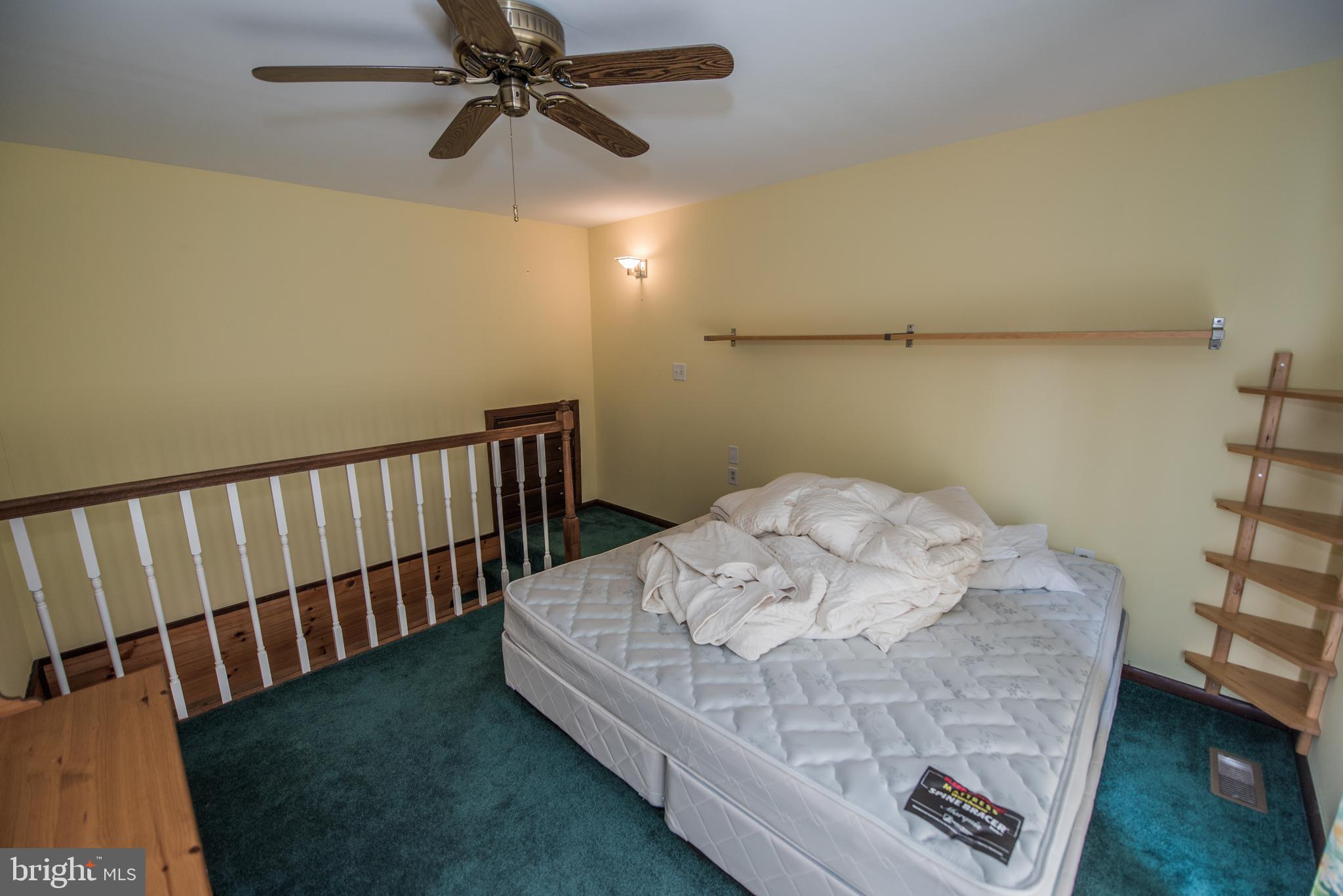 CACAPON RIVER RAPIDS - Residential