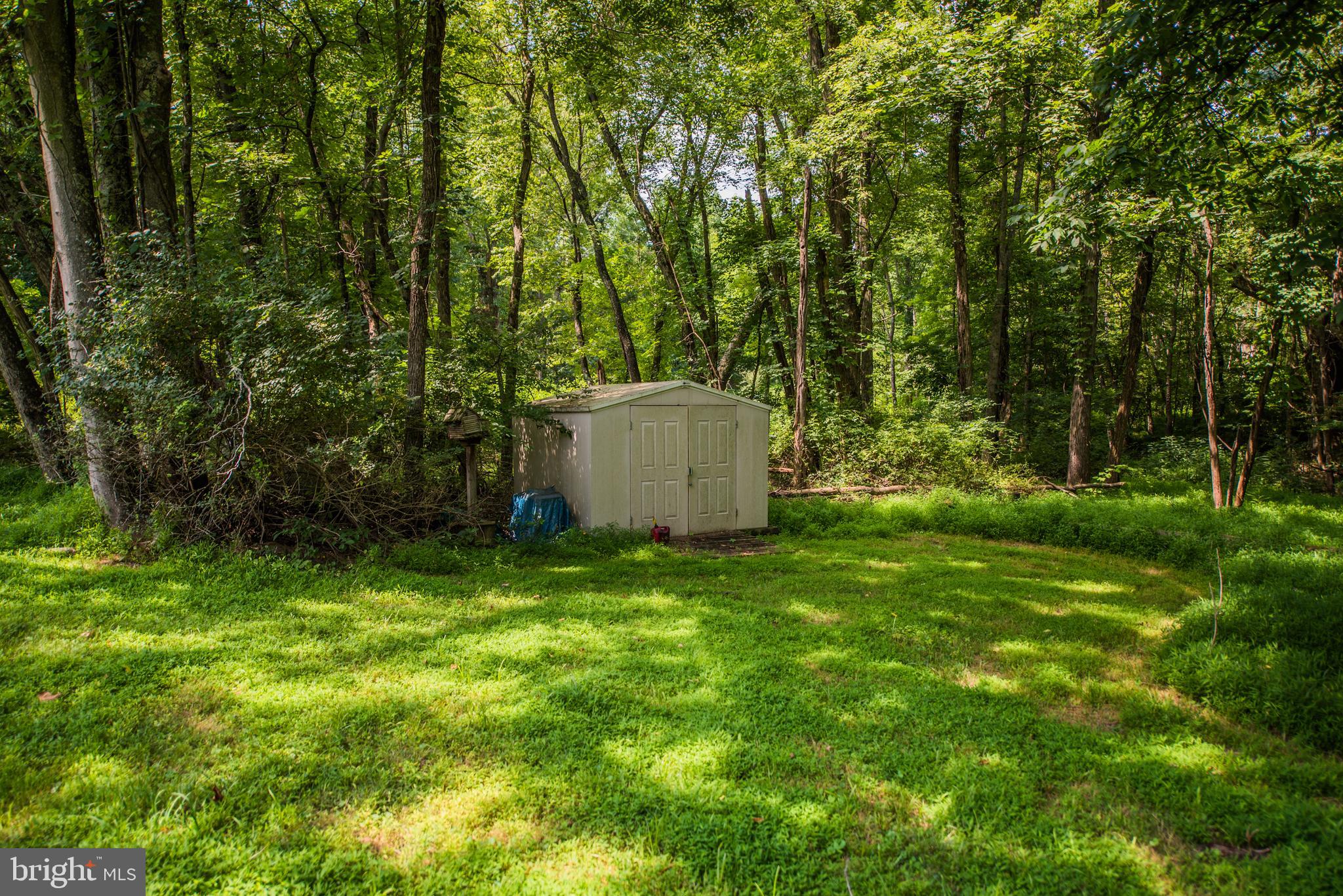 CACAPON RIVER RAPIDS - Residential