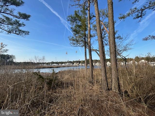 OCEAN PINES - SALT GRASS COVE - Residential