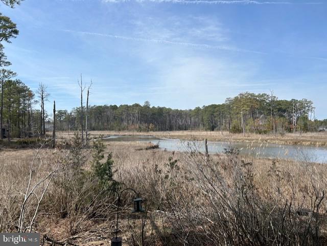 OCEAN PINES - SALT GRASS COVE - Residential