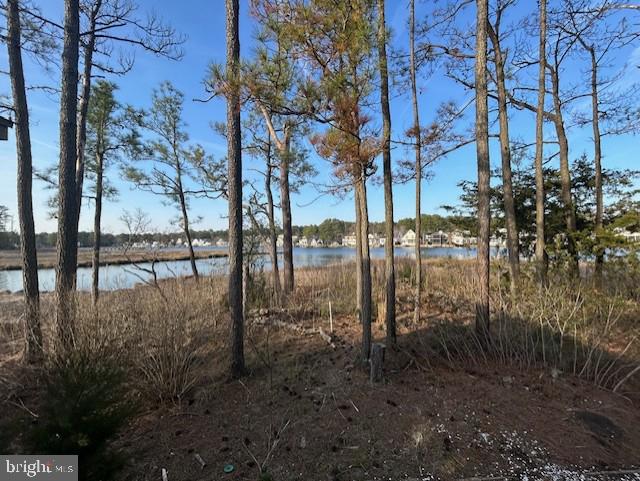OCEAN PINES - SALT GRASS COVE - Residential