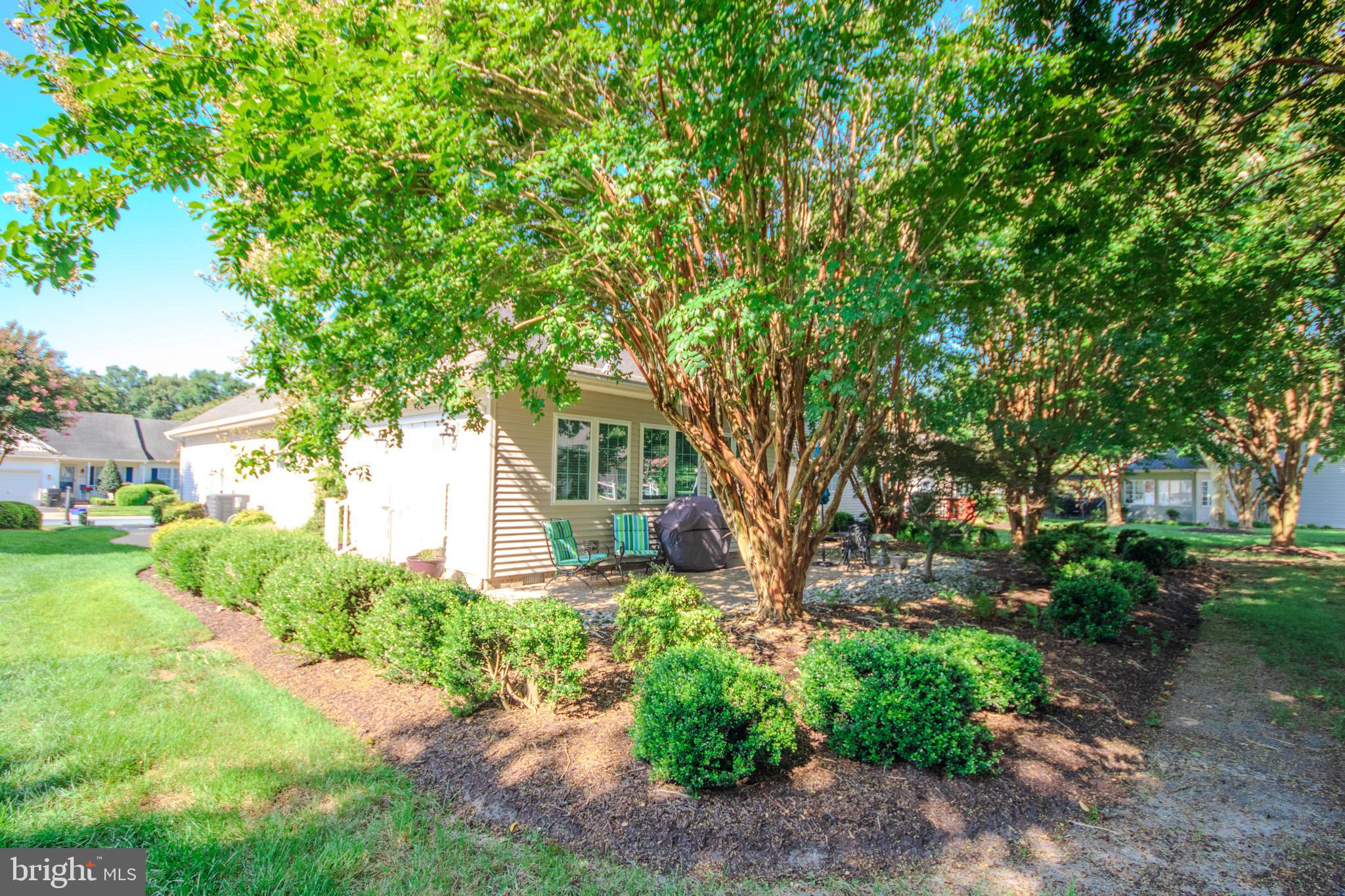 VILLAGE OF TONY TANK - Residential