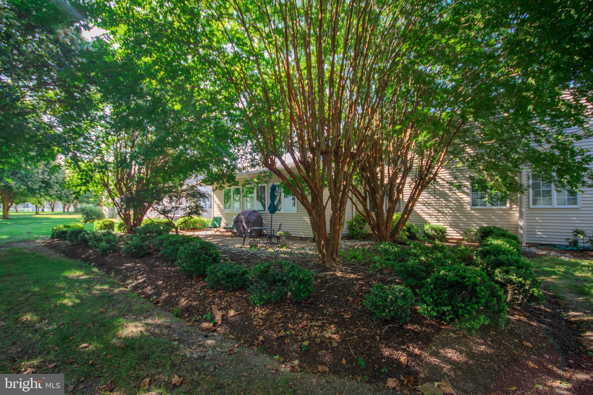 VILLAGE OF TONY TANK - Residential