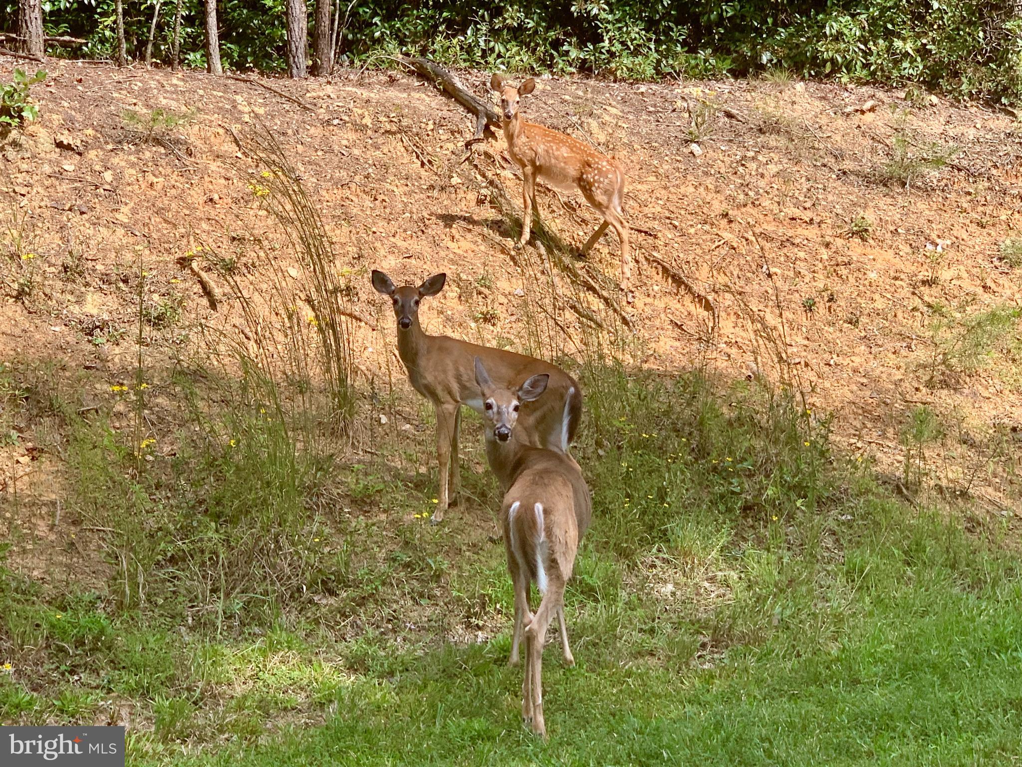 AQUIA HARBOUR - Residential