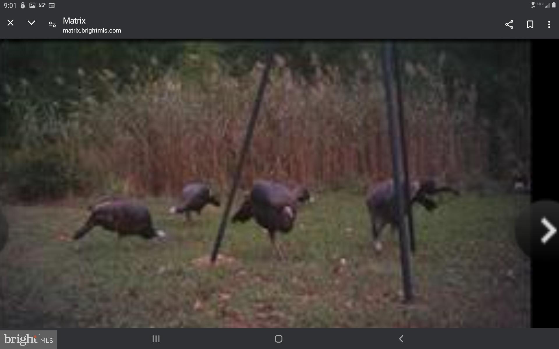 NONE AVAILABLE - Land