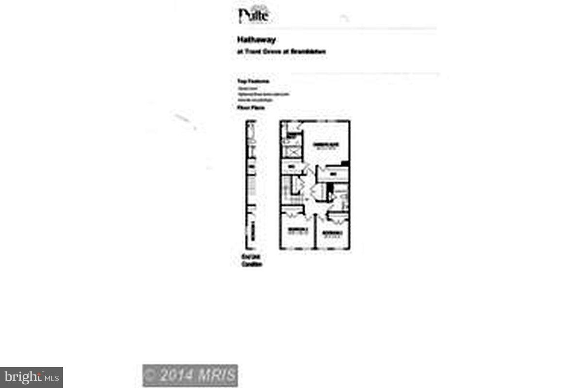 TRENT GROVE - Residential Lease