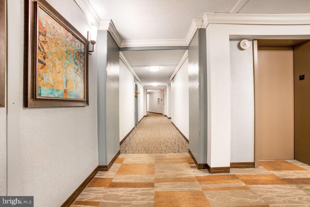 205 YOAKUM PARKWAY 1502