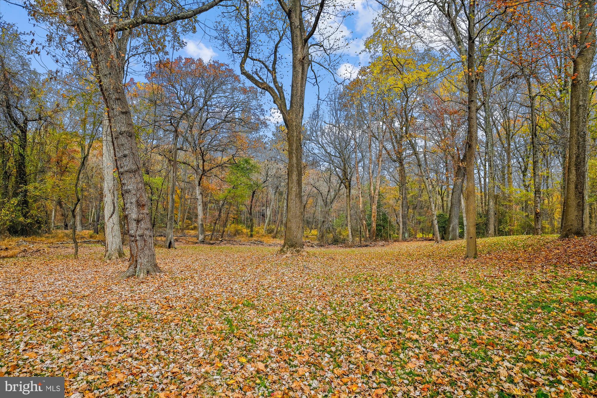 BRETTON WOODS - Residential