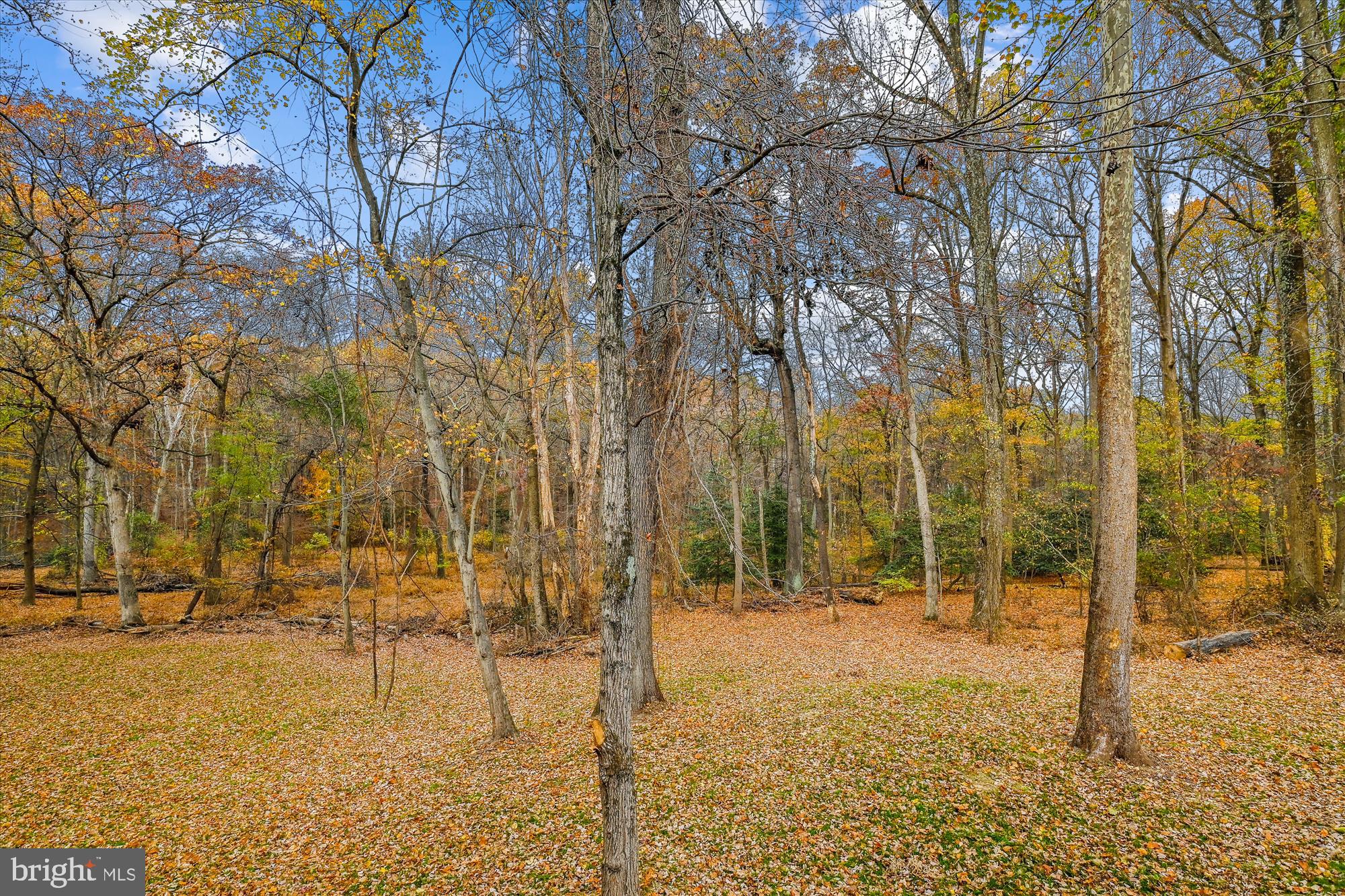 BRETTON WOODS - Residential