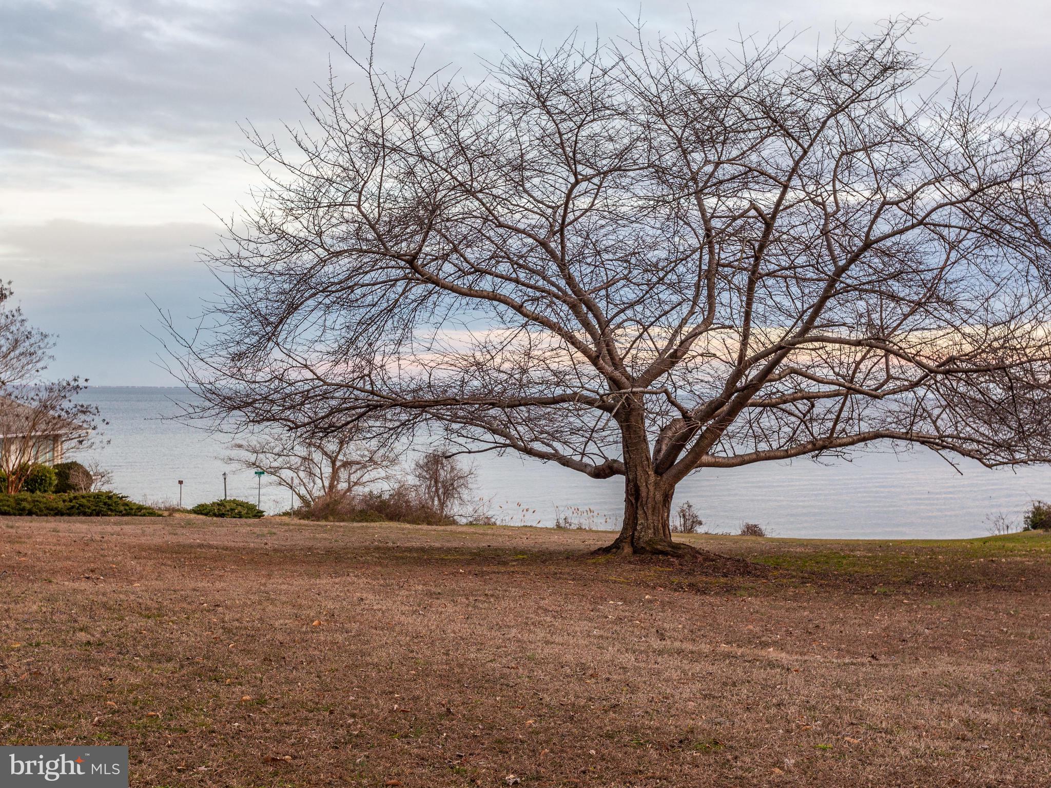 DRUM POINT - Residential