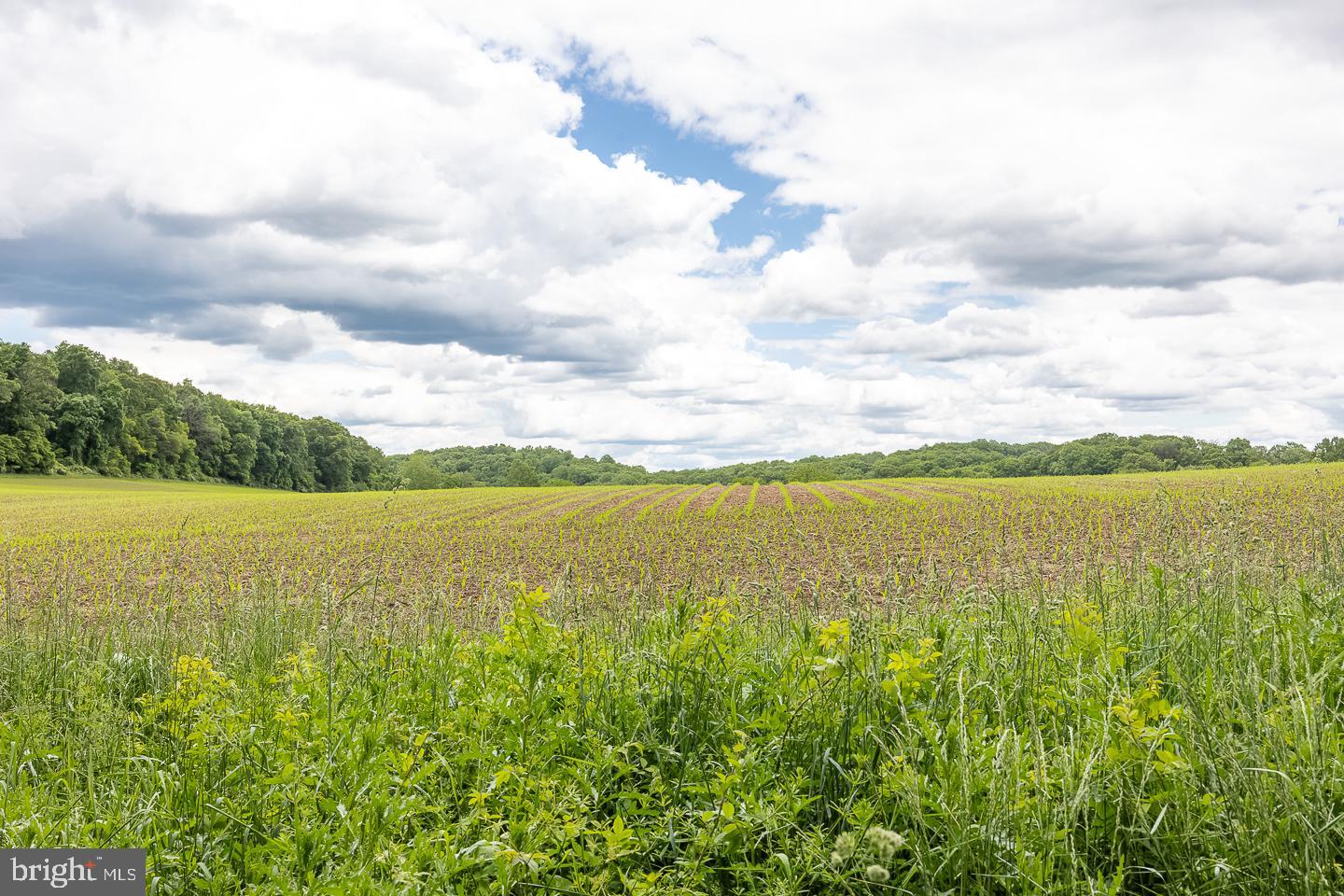 STRASBURG HUNT - Residential