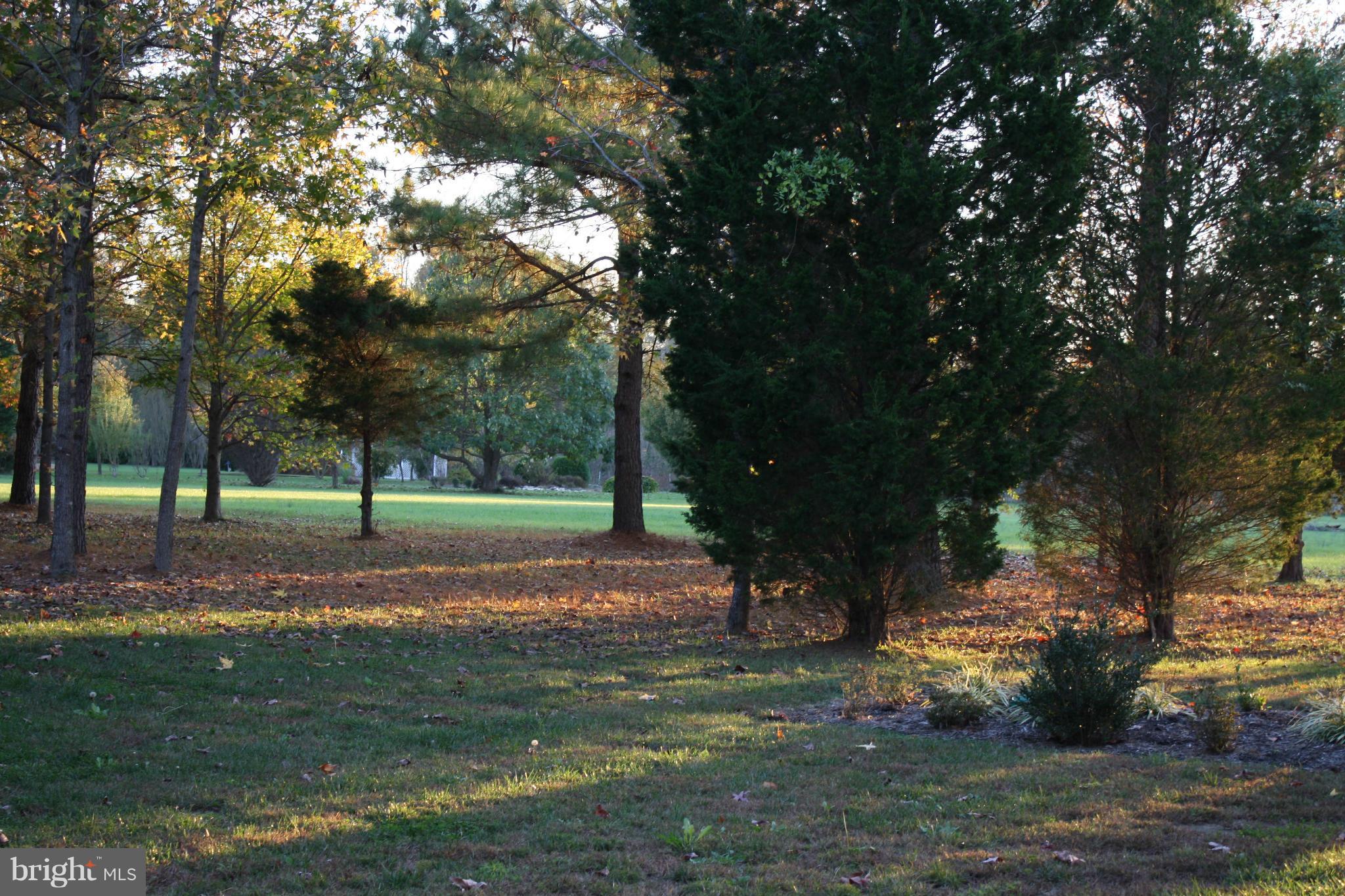 DEERFIELD - Residential Lease