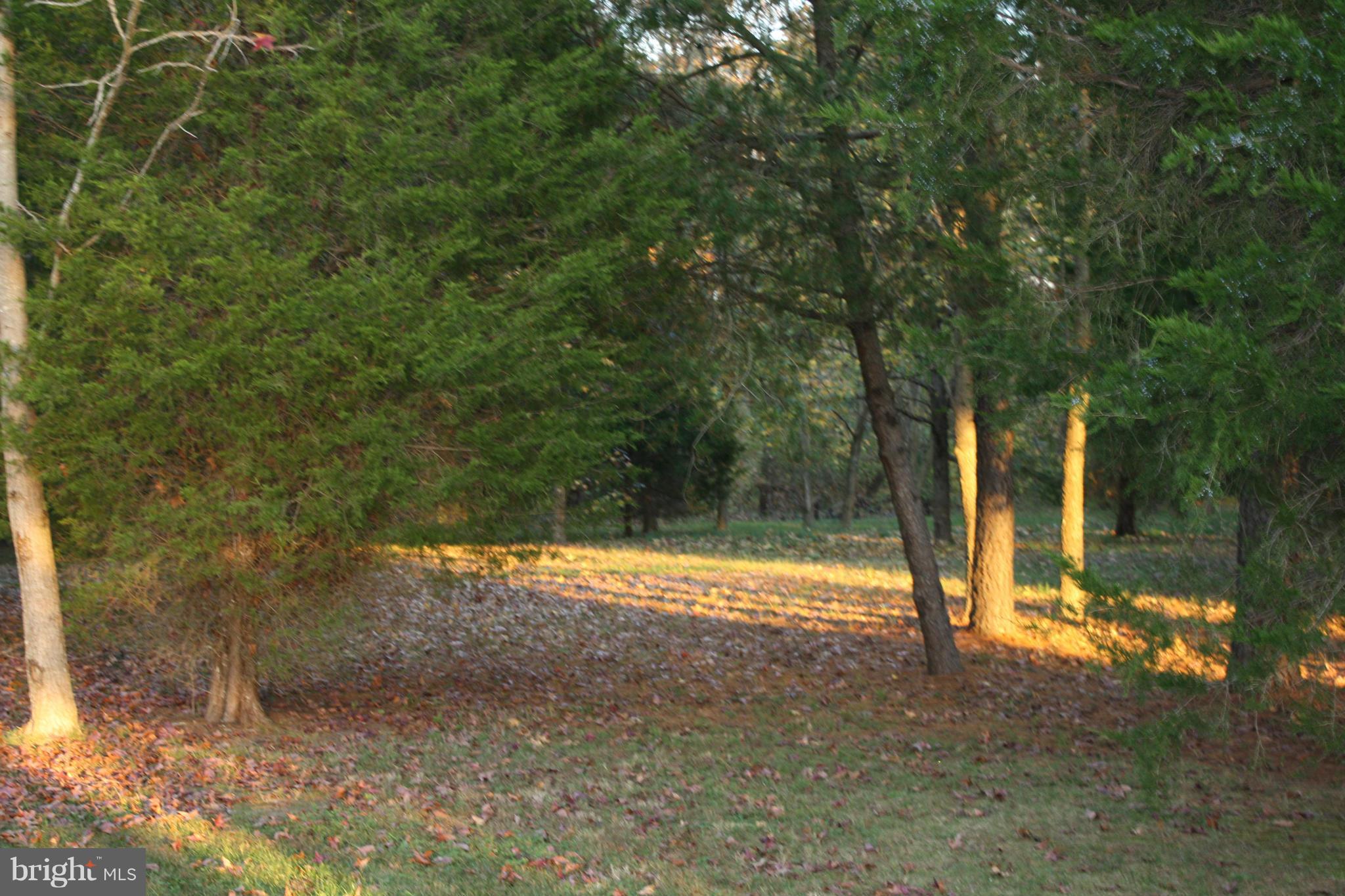 DEERFIELD - Residential Lease