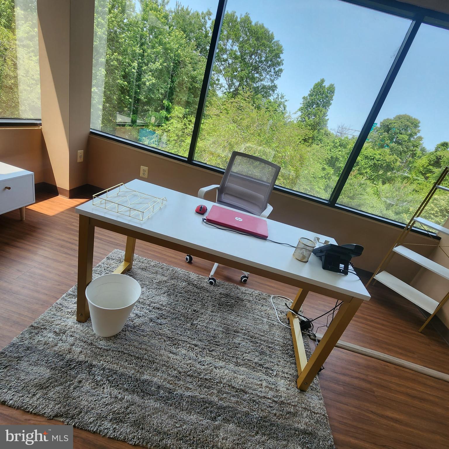 1406B CRAIN HIGHWAY SUITE 306