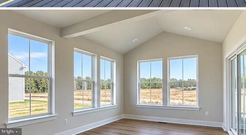 20653 HARVEST MOON LANE