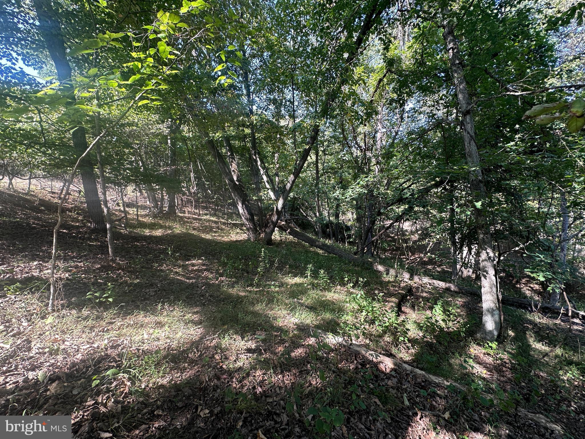 HAMILTON ESTATES - Land