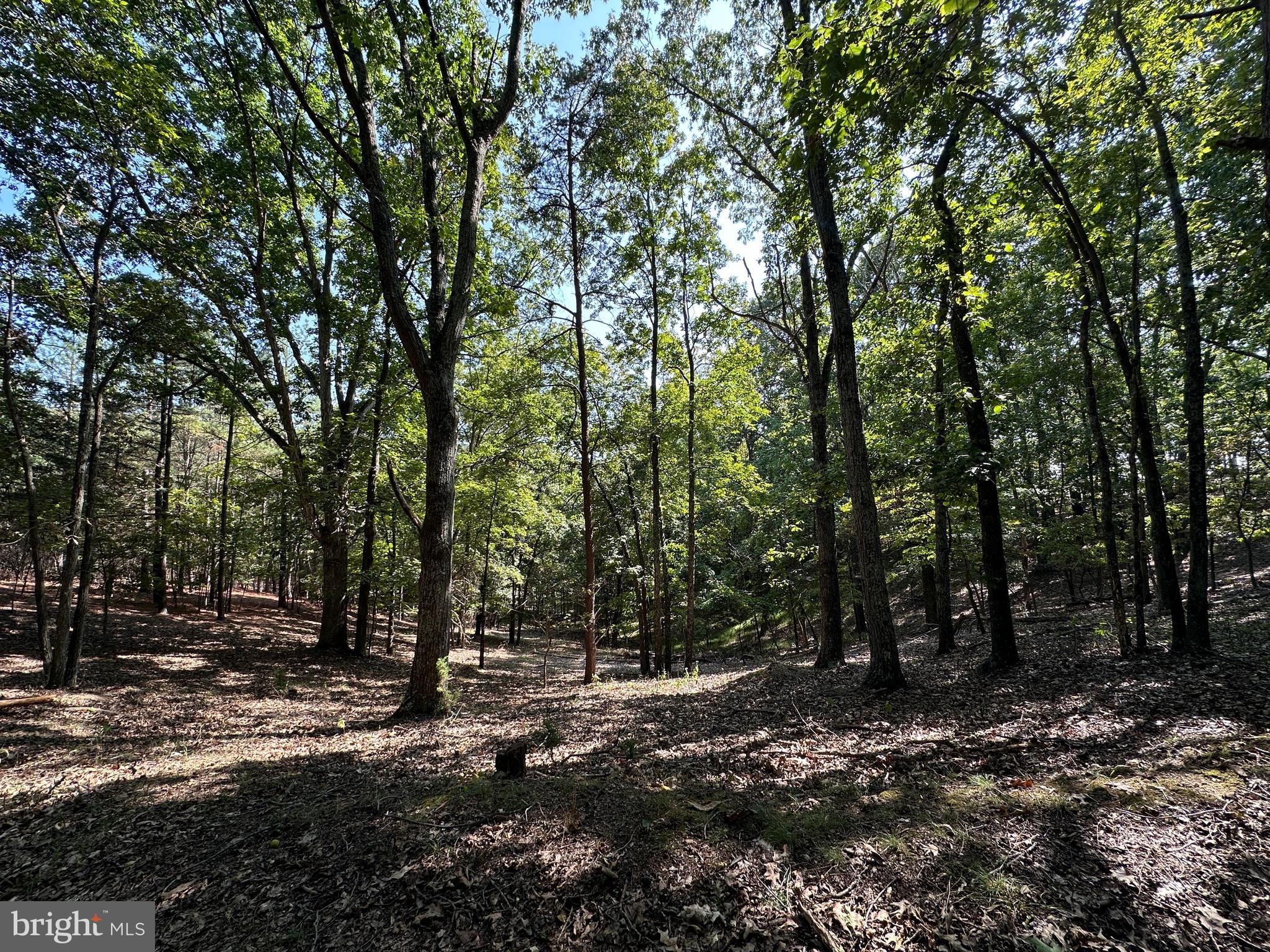 HAMILTON ESTATES - Land