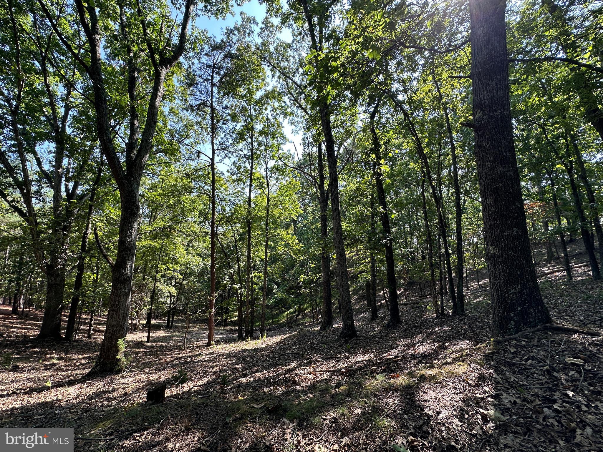 HAMILTON ESTATES - Land