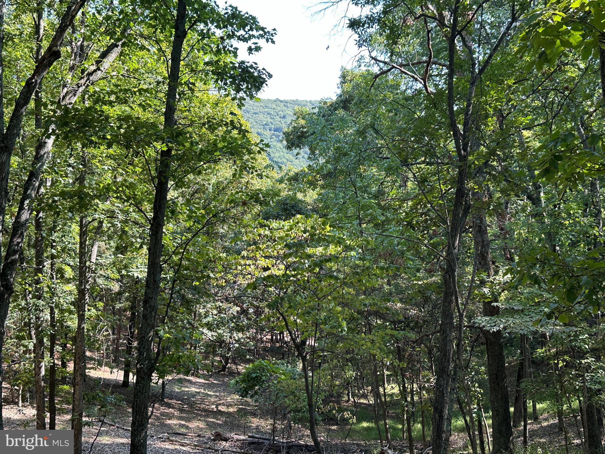 HAMILTON ESTATES - Land