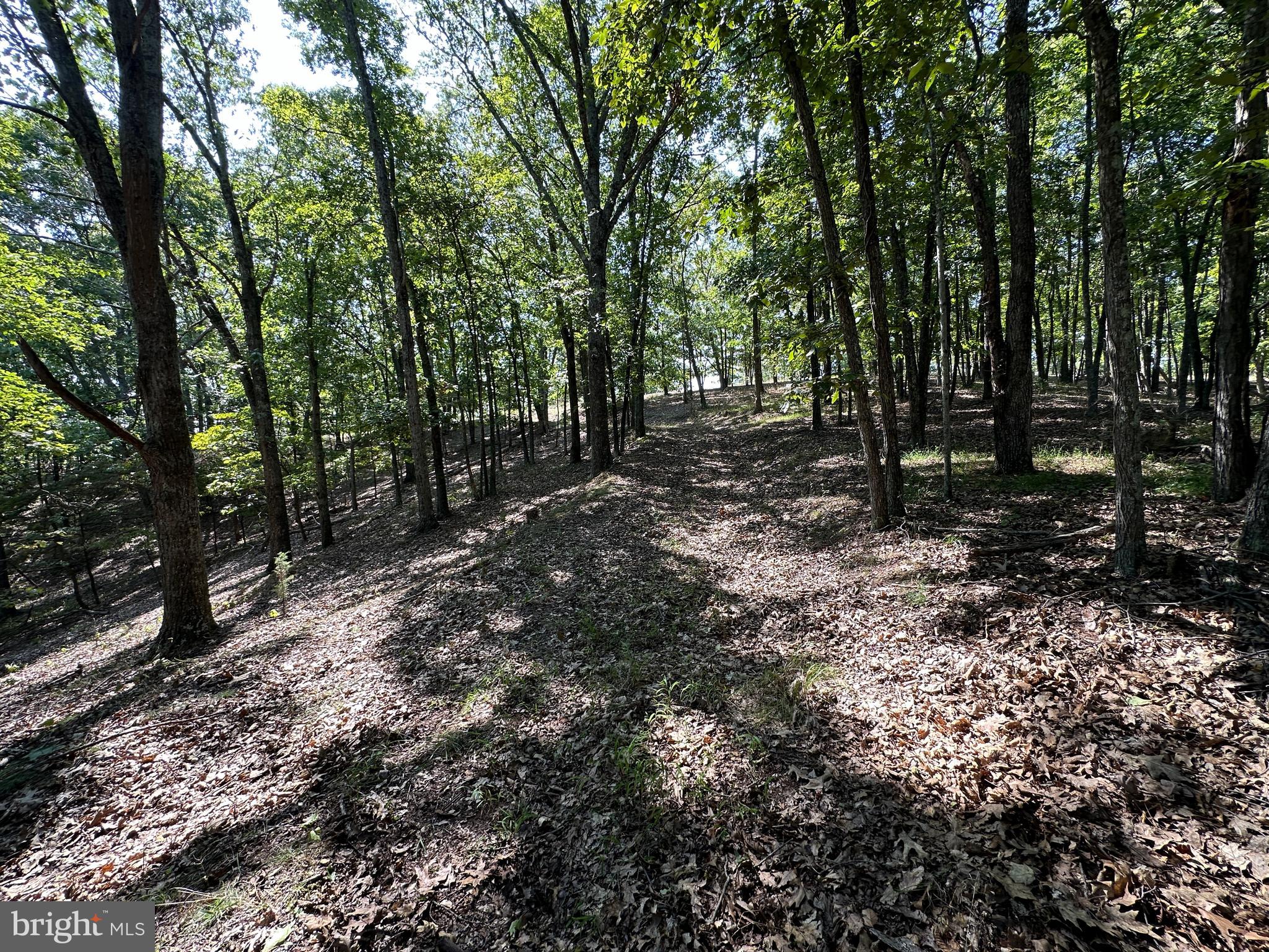 HAMILTON ESTATES - Land