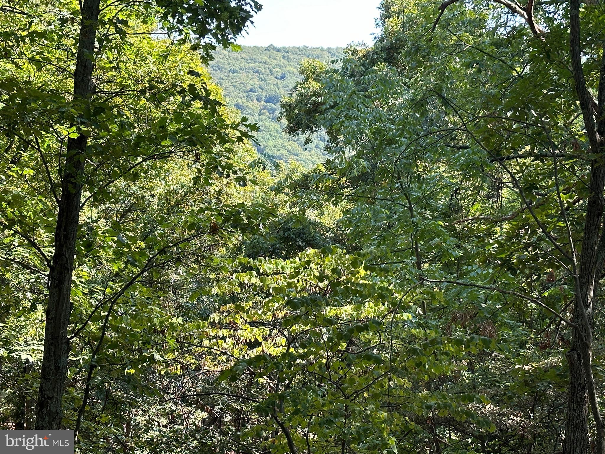 HAMILTON ESTATES - Land