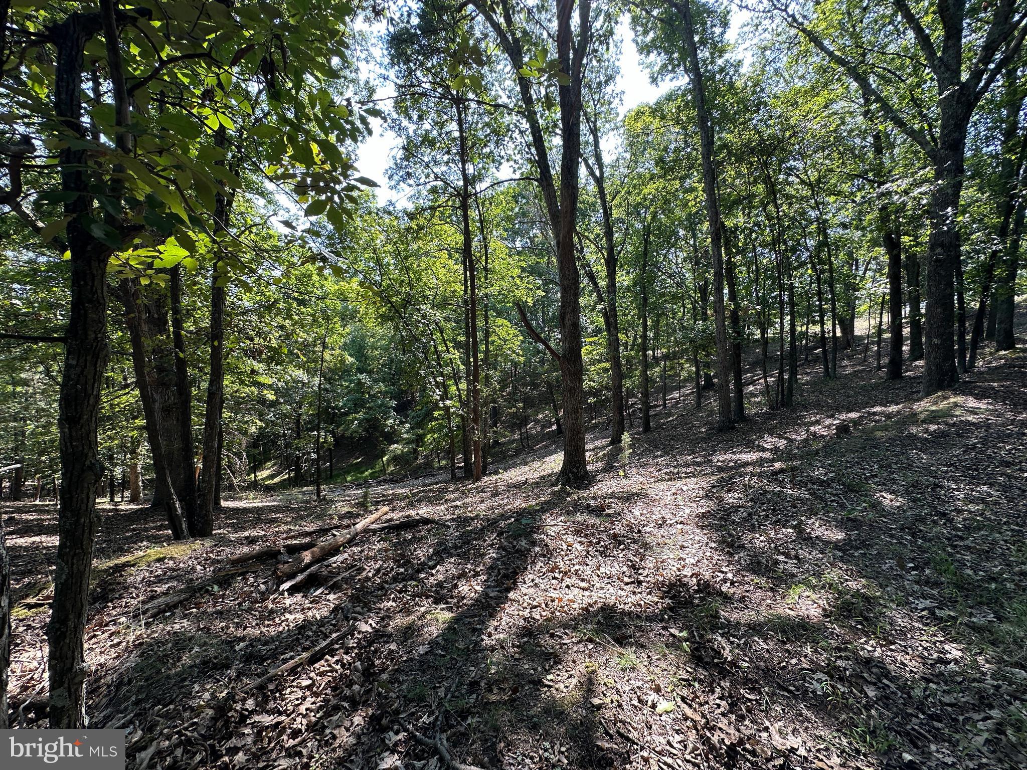 HAMILTON ESTATES - Land