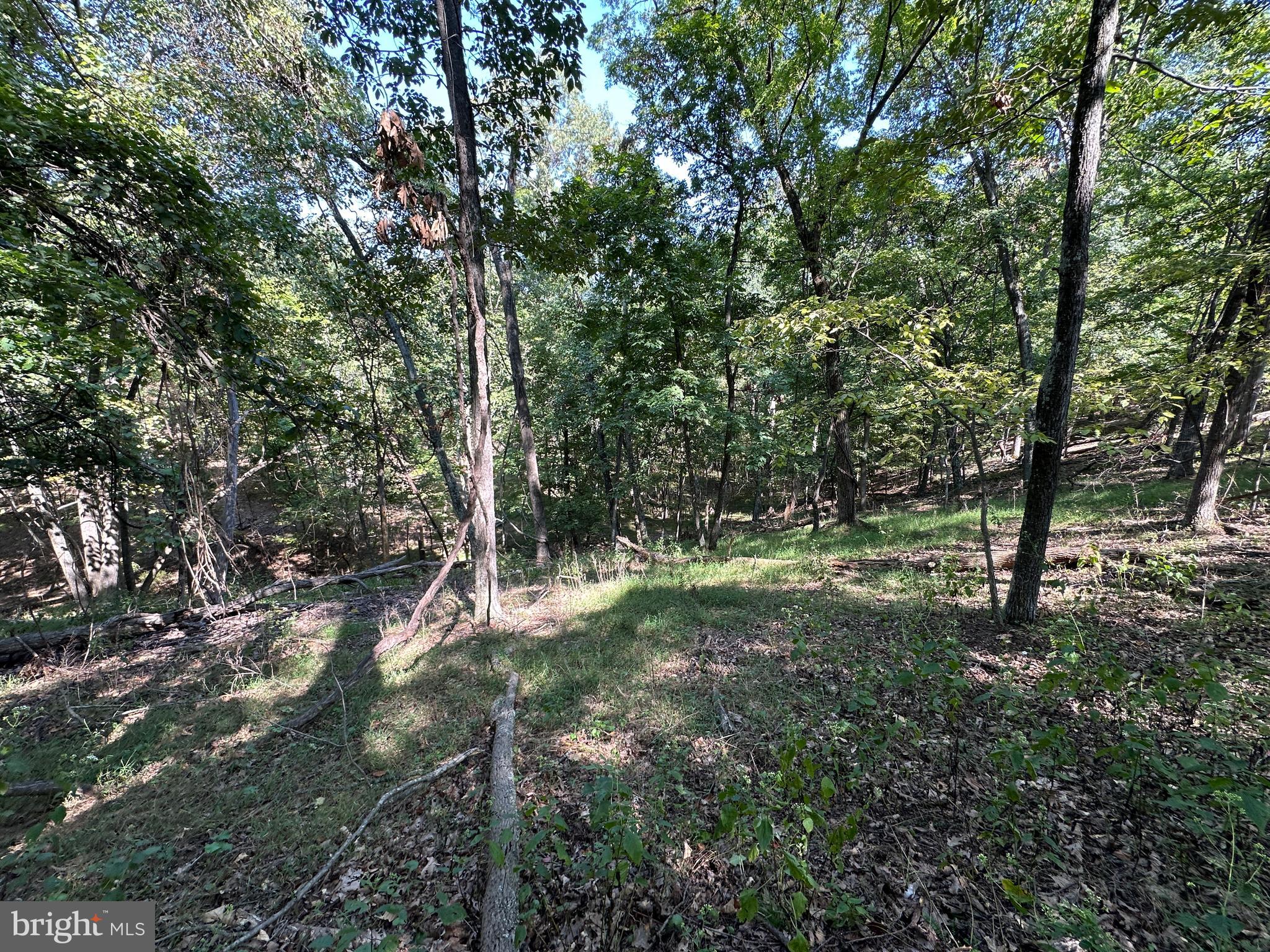 HAMILTON ESTATES - Land