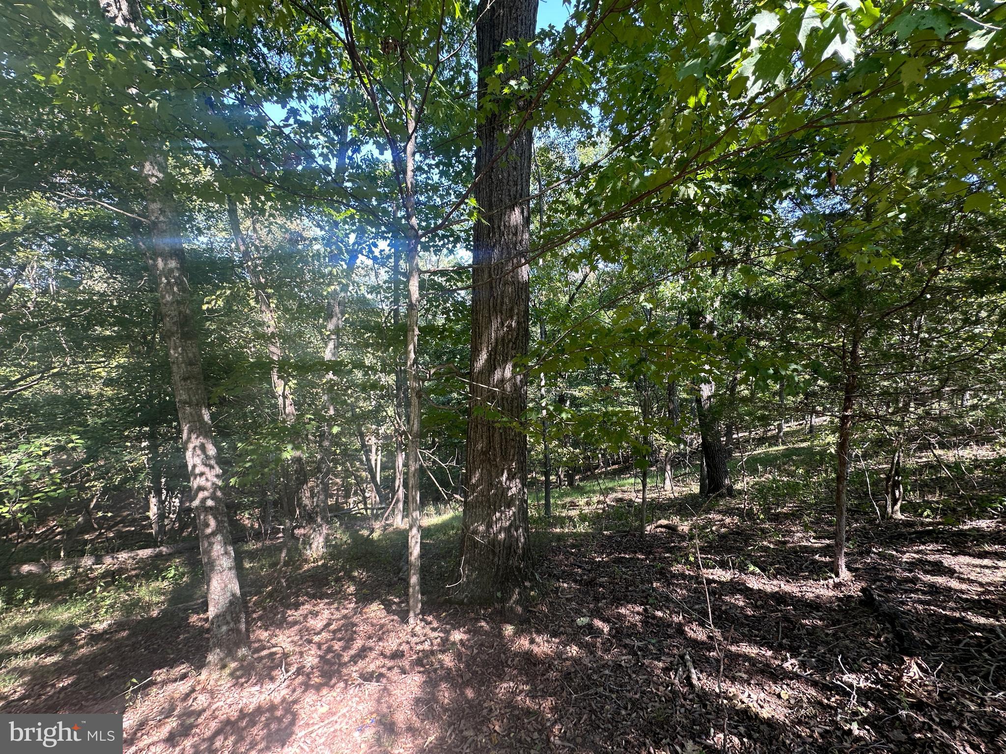 HAMILTON ESTATES - Land