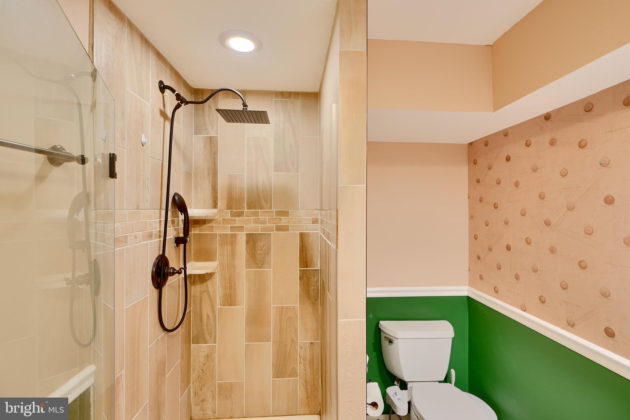 CASTLE BLANEY - Residential