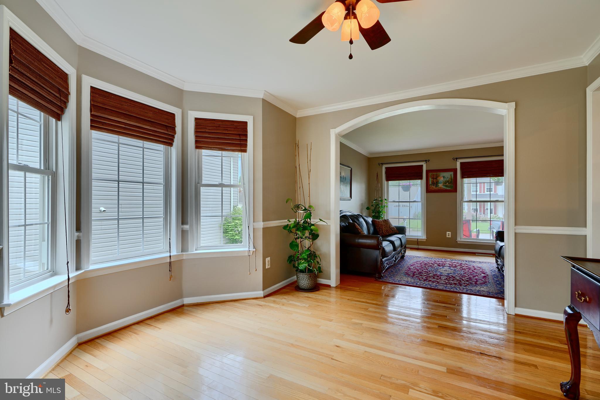 CASTLE BLANEY - Residential