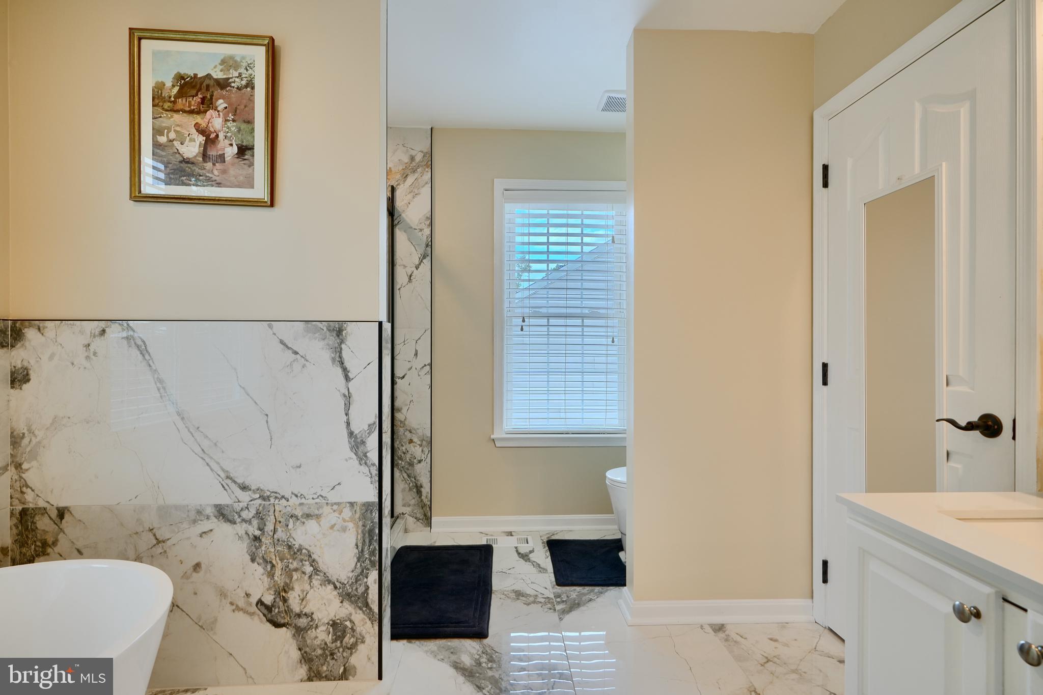 CASTLE BLANEY - Residential