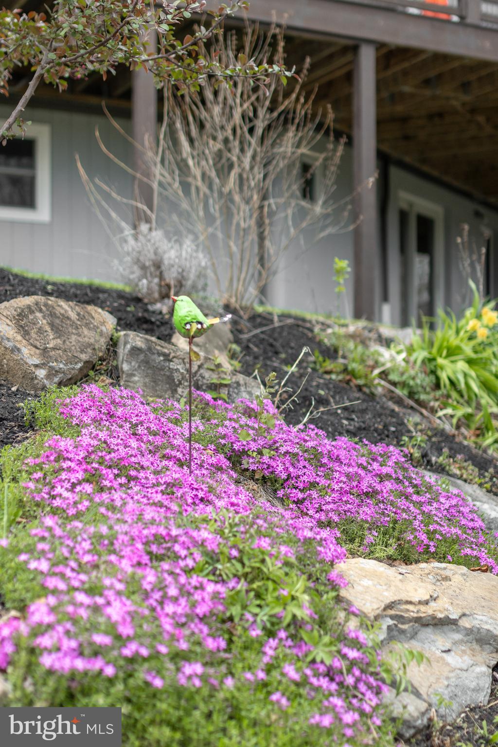 NITTANY ORCHARD - Residential